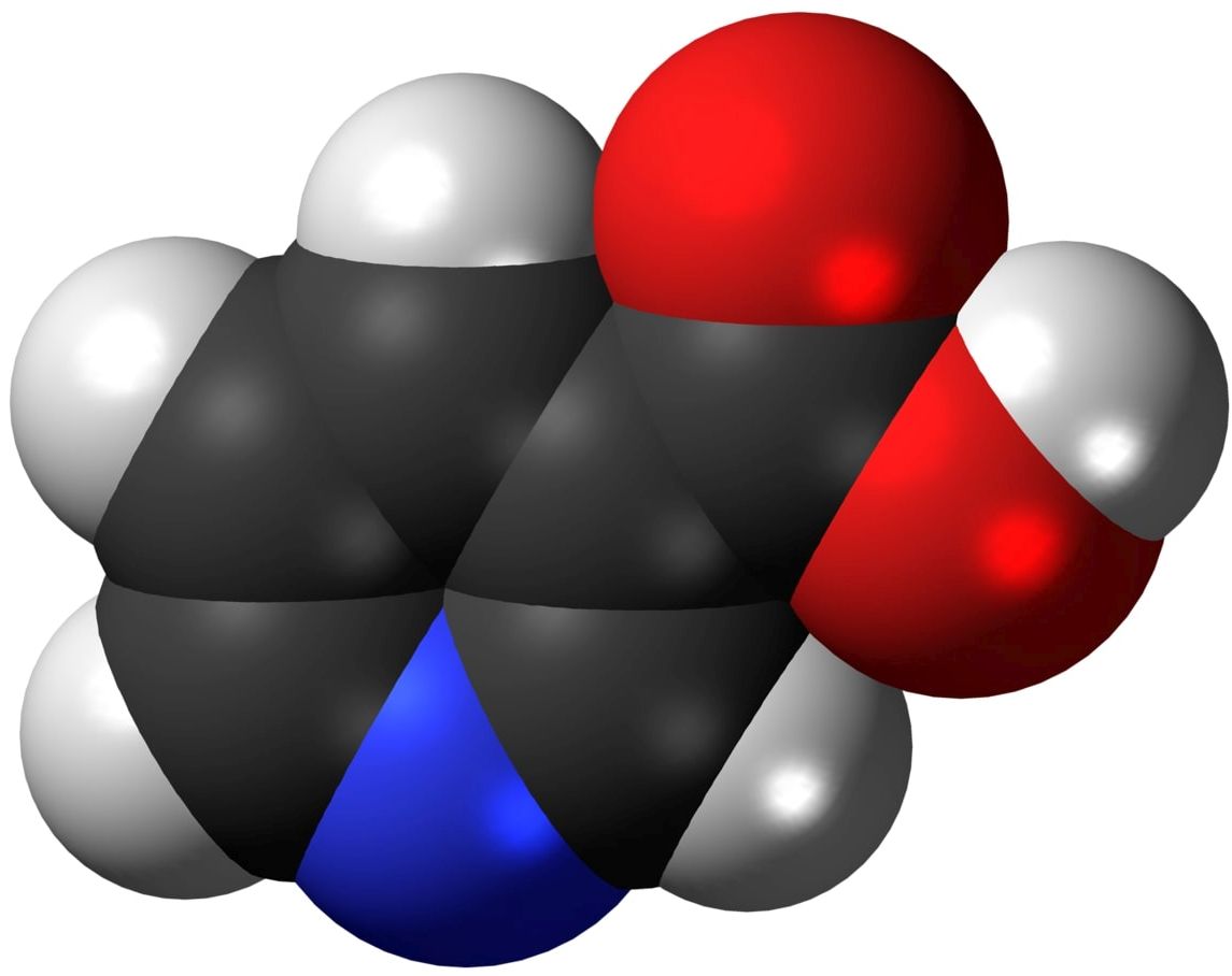 Niacin 3D