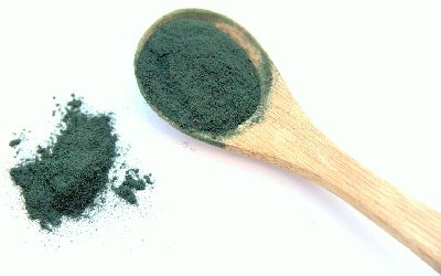 Spirulina platensis